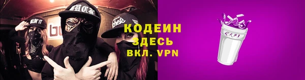 индика Михайлов