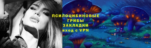 МДПВ Абдулино