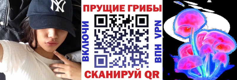 shop клад  Сафоново  Псилоцибиновые грибы MAGIC MUSHROOMS 